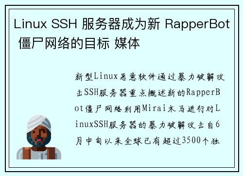 Linux SSH 服务器成为新 RapperBot 僵尸网络的目标 媒体