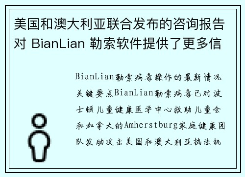 美国和澳大利亚联合发布的咨询报告对 BianLian 勒索软件提供了更多信息 