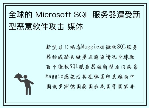 全球的 Microsoft SQL 服务器遭受新型恶意软件攻击 媒体